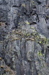 Granite walls of the Columbia River Gorge with fall moss and gra