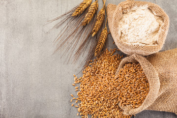 Wheat grains and flour