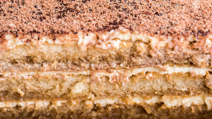 Homemade Tiramisu Cake Close Up
