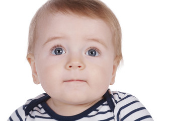 cute little boy on white background