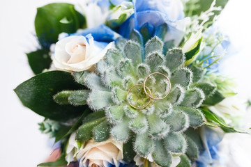 Beautiful wedding rings on a flower.