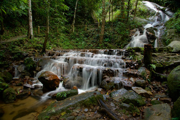 Fototapeta premium Thai waterfall (Tard Mork waterfall)