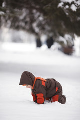 Fototapeta na wymiar little boy in winter park