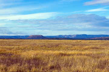 Prairie grasses at Las Vegas National Wildlife Refuge in New Mexico, with Sangre de Cristo Mountains in the distance