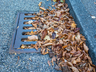 Herbstlaub verstopft Schacht