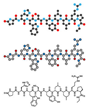 Leuprolide (leuprorelin) GnRH Analog Drug Molecule.