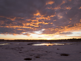 Fototapeta premium Snowy sunset in Alberta, Canada