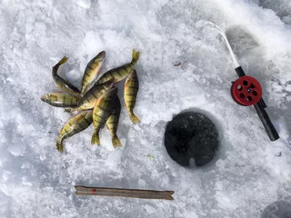 Fototapeten Ice fishing, equipment and catch © Nata K