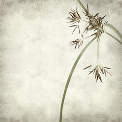 textured old paper background