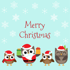 Christmas family of owls
