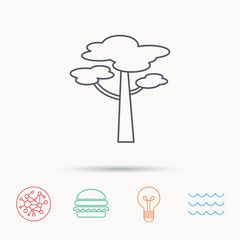 Pine tree icon. Forest wood sign.