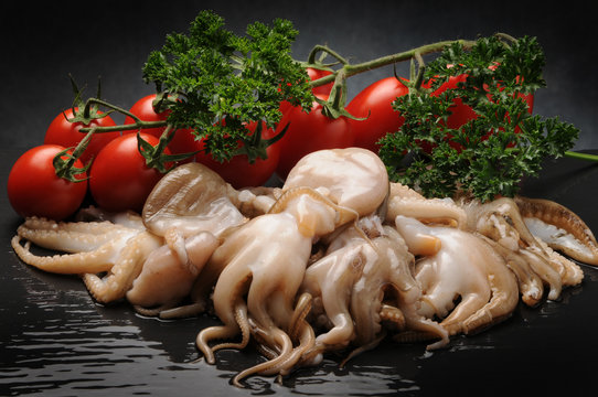 Octopus globosus
