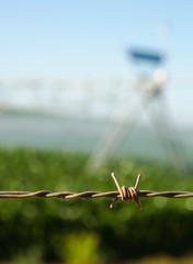 Close up of barbed wire.