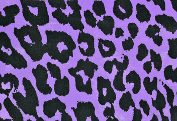 Black and purple leopard fur pattern. Spotted animal print as background. - 96128380