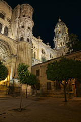 Fototapeta na wymiar Monumentos de la ciudad de Málaga, la catedral