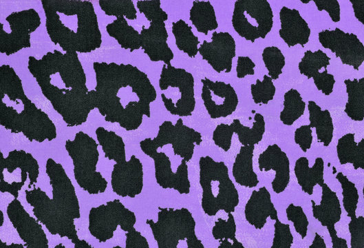 Black and purple leopard fur pattern. Spotted animal print as background.