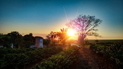 Sunset on the brazilian farm landscape