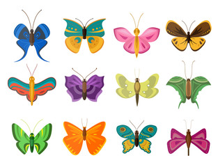 Fototapeta na wymiar Colorful butterflies flat style vector collection