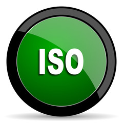 iso green web glossy icon with shadow on white background