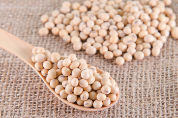 soy beans in wooden spoon