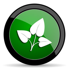 leaf green web glossy icon with shadow on white background