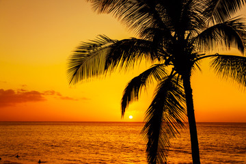 Tropical island sunset with silhouette of palm trees, hot summer day vacation background, golden sky with sun setting over horizon
