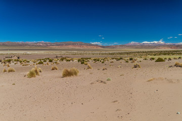 Landscape of bolivian Altiplano