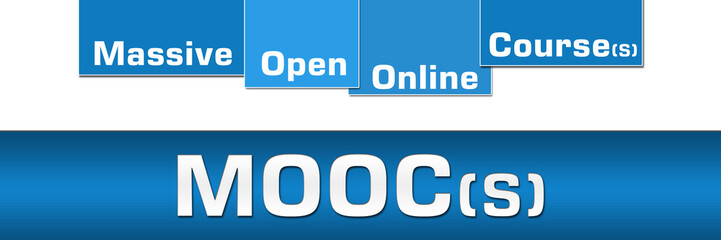 Moocs Blue Stripes On Top 