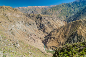 Canyon Colca - second deepest canyon in the World, Peru