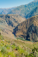 Canyon Colca - second deepest canyon in the World, Peru