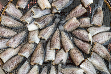 Trichogaster pectoralis fish dried