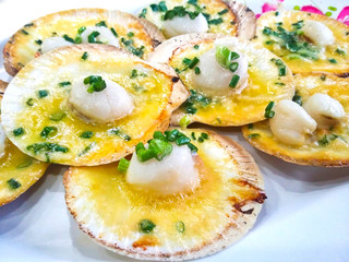 grilled scallops