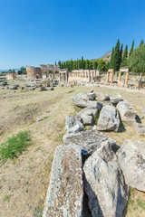 Fototapeta na wymiar Ancient ruins in Hierapolis, Pamukkale, Turkey.