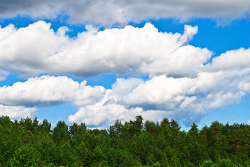 Storm clouds over the forest
