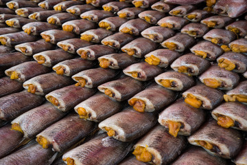 Trichogaster pectoralis fish dried