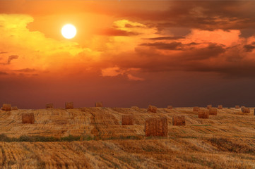 Знойный август 2015