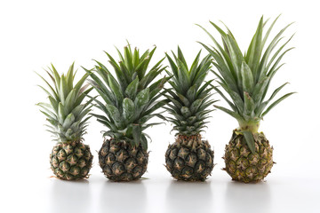 Fototapeta premium fresh pineapple