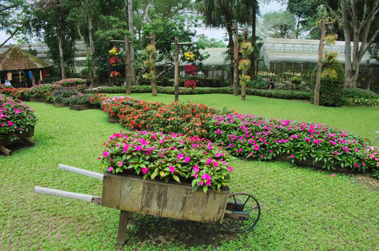 Idyllic flower garden with old wooden cart. flower cart.