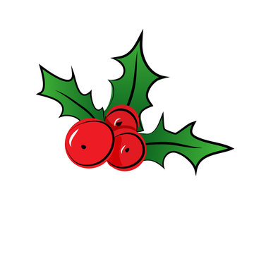 Vector sketch of Christmas holly berry.