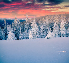 Obraz premium Colorful winter sunrise in the mountains