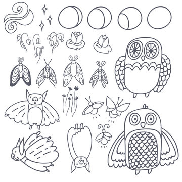 Night creatures outline vector set with adorable owls, bats, fireflies and moths. Moon phases. Hand drawn characters.