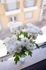 fresh chrysanthemum in vase on the window sill