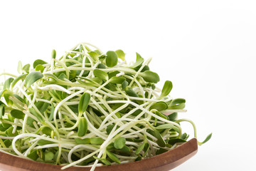 Sunflower Sprouts