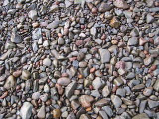 A stony ocean beach.