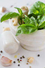 Fototapeta na wymiar Pesto sause and ingredients on white background