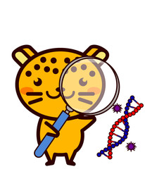 研究する動物シリーズ