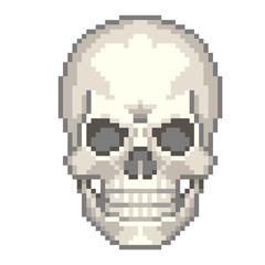 Pixel human skull isolated vector
