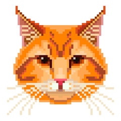 Fototapeta premium Pixel red cat face isolated vector