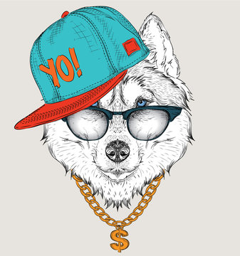 The poster with the image husky portrait in hip-hop hat. Vector illustration.