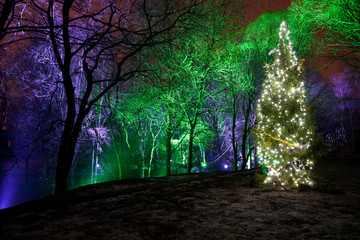 Christmas tree